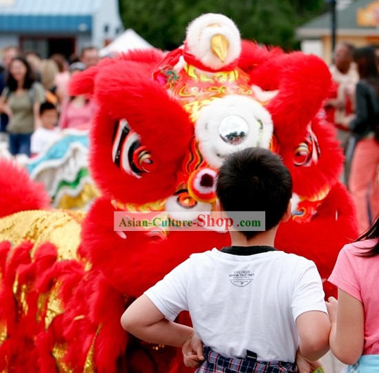 Lucky Red Competition and Parade HOK SAN Lion Dance Costumes Complete Set