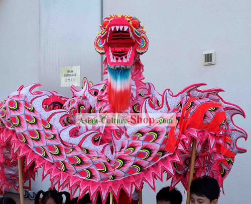 Traditional Chinese Luminous Phoenix Dragon Dance Costumes Complete Set