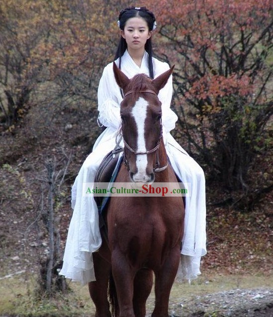 Chinese Classical Xiao Long Nv Costumes Complete Set in Return of the Condor Heroes