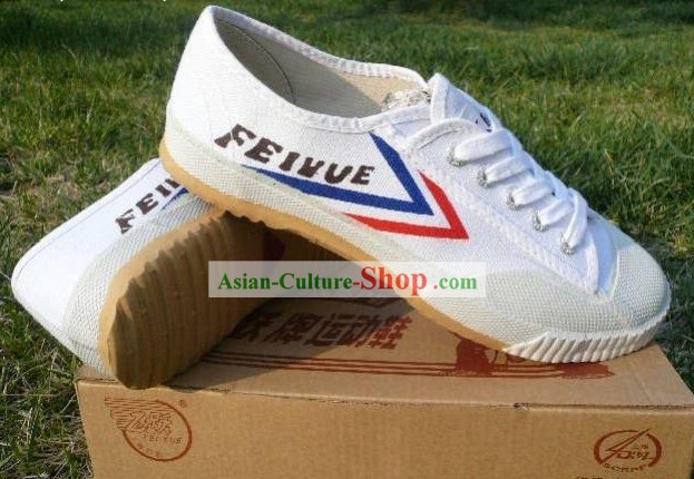 Chinese Professional Martial Arts Tai Chi Fei Yue Brand Shoes
