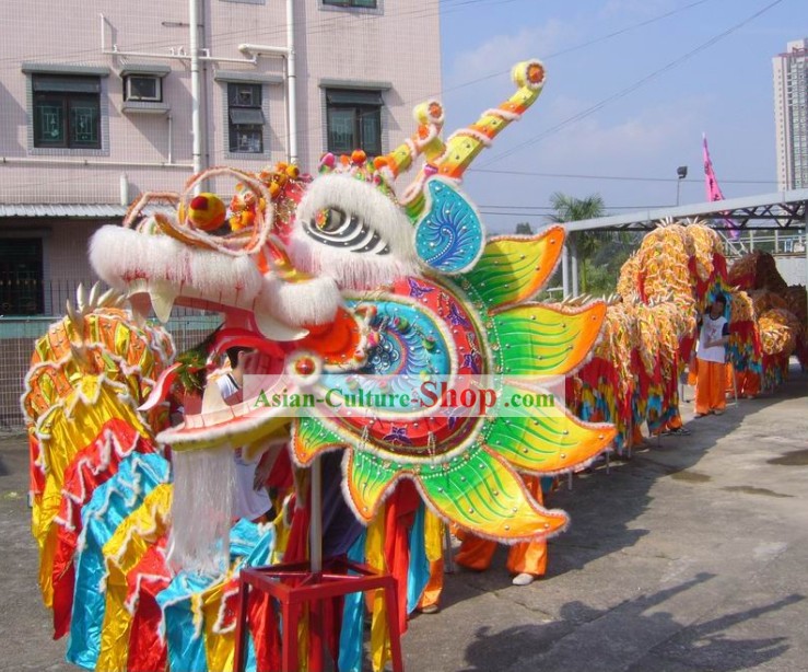 Large Chinese Classical Dragon Dance Equipments Complete Set for 40 People