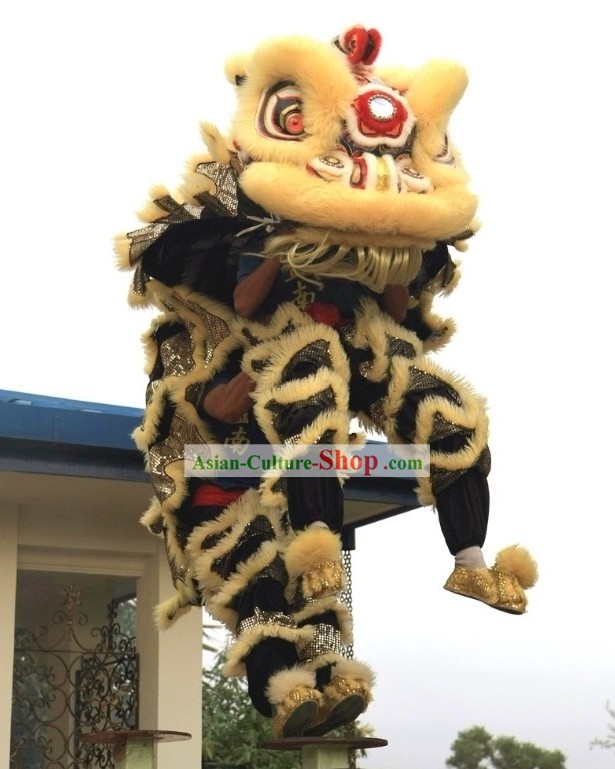 Competition and Display HOKSAN Lion Dance Costumes Complete Set