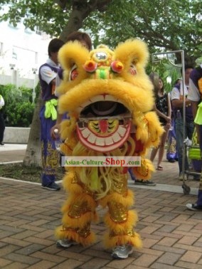 One Child Lion Dance Costume