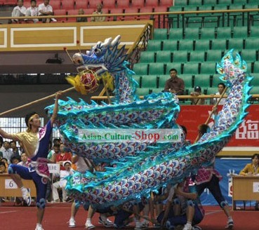 Competition Blue Dragon Dance Costume Complete Set