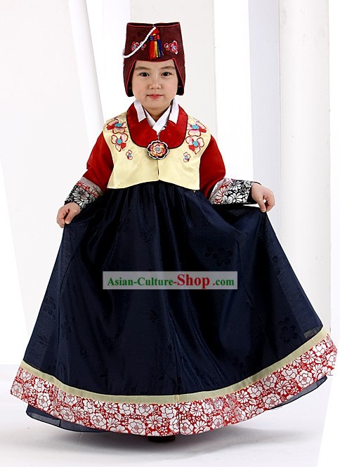 Traditional South Korean Formal Birday Hanbok Dress for Girls