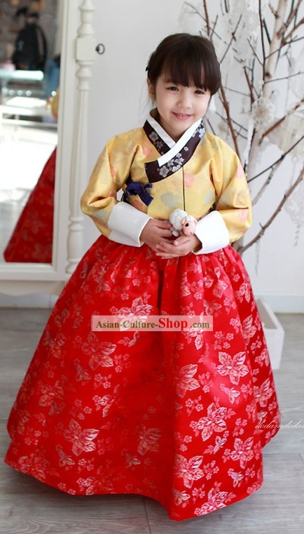 Traditional Korean Baby Girl Hanbok Clothing