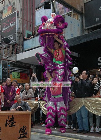 Business Opening Ceremony Southern Lion Dance Costumes Complete Set