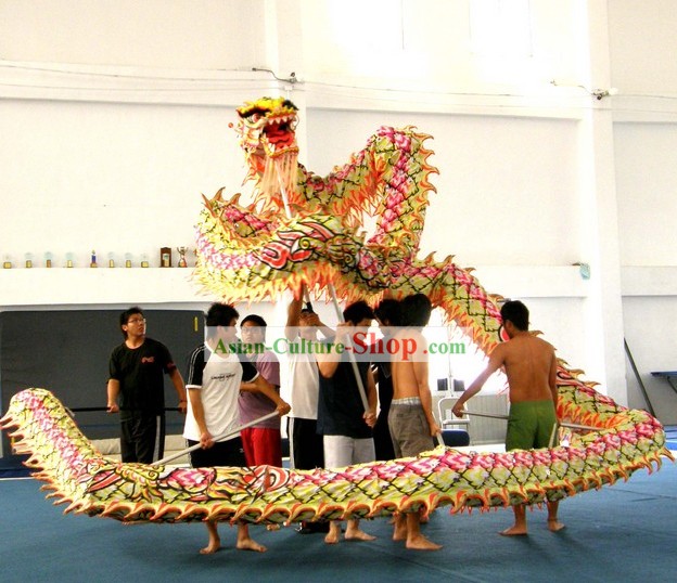 Traditional Luminous Dragon Dance Costume Complete Set