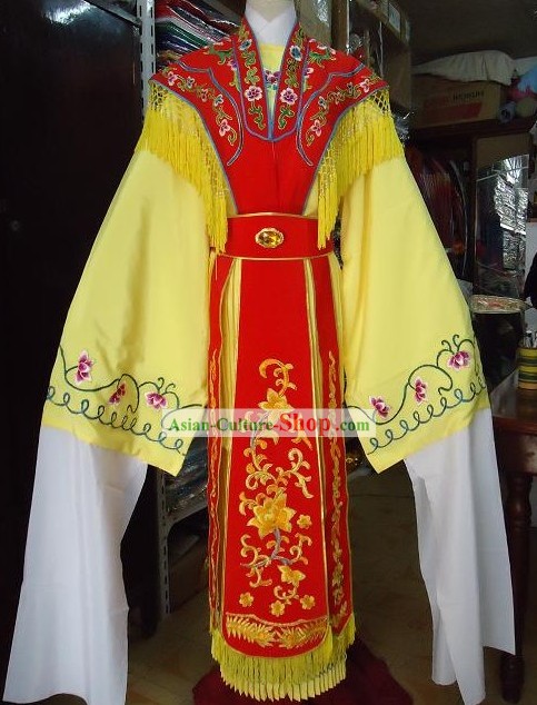 Traditional Chinese Long Sleeves Opera Palace Dancing Costumes for Women