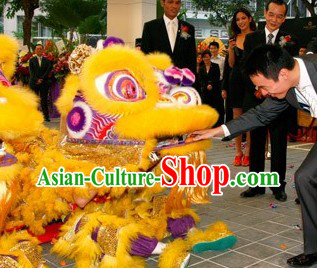 Wish You a Happy New Year Supreme Lion Dance Costumes Complete Set