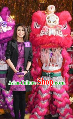 TV Show Festival and Grand Opening Celebration Top Lion Dance Costume Complete Set