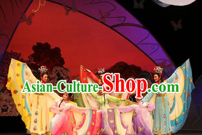 Traditional Chinese Opera Butterfly Love Liang Zhu Butterfly Costumes