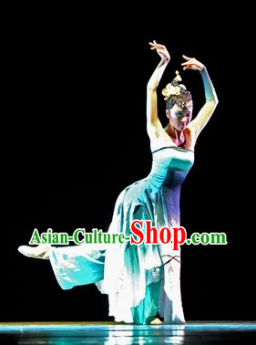 One Shoulder Recital Dance Costumes and Headdress for Professional Dancers