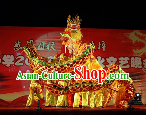 Professional Parade Chinese Adult Dragon Costume Complete Set