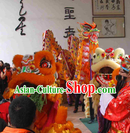14 Meters Brand New Rainbow Dragon Dance Costume Complete Set for 8 People