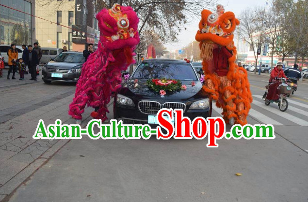 lion dance costumes