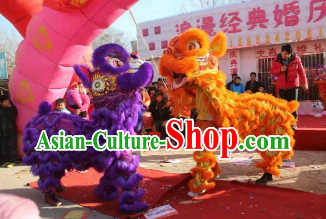 lion dance costume