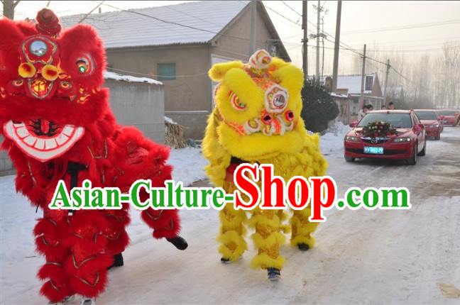 lion dance costumes