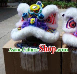 lion and dragon dance