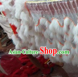 lion dance  malaysia