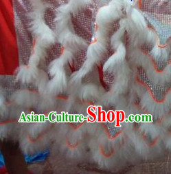 lion dance  malaysia