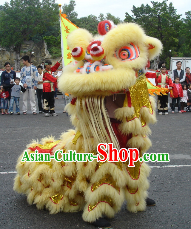 lion and dragon dance