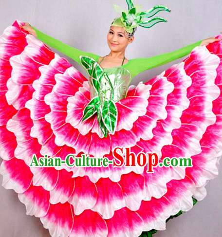 Chinese Classicial Flower Dancing Costumes Dancewear and Headpieces Complete Set for Women