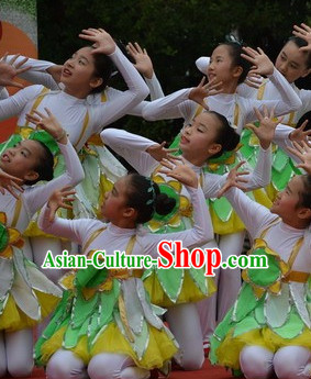 Chinese Traditional Festival Dance Dress Dancewear Costumes Dancer Costumes Dance Costumes Chinese Dance Clothes Traditional Chinese Clothes Complete Set for Kids