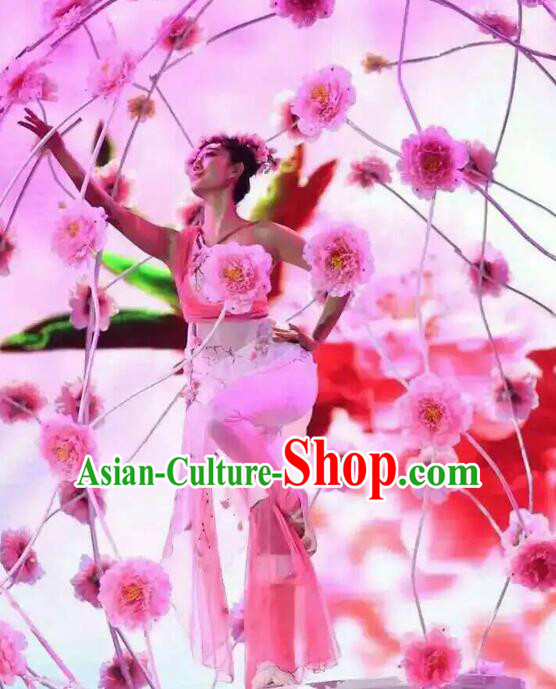 Professional Spring Festival Gala Evening Dance Costumes Dancing Costume Complete Set for Kids Adults Women Girls