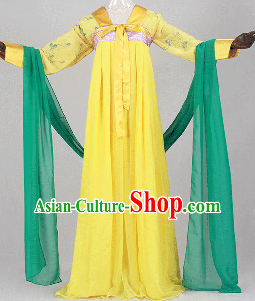 Traditional Chinese Ancient Tang Dynasty Clothing Imperial Cape Dresses Beijing Classical China Clothing for Women