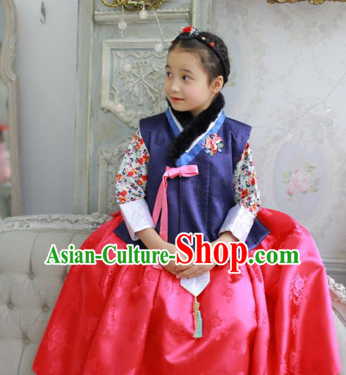 Traditional Korean Costumes Bride Formal Attire Ceremonial Red Dress, Korea Hanbok Court Embroidered Clothing for Kids