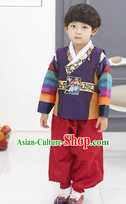 Asian Korean National Traditional Handmade Formal Occasions Boys Embroidery Purple Hanbok Costume Complete Set for Kids