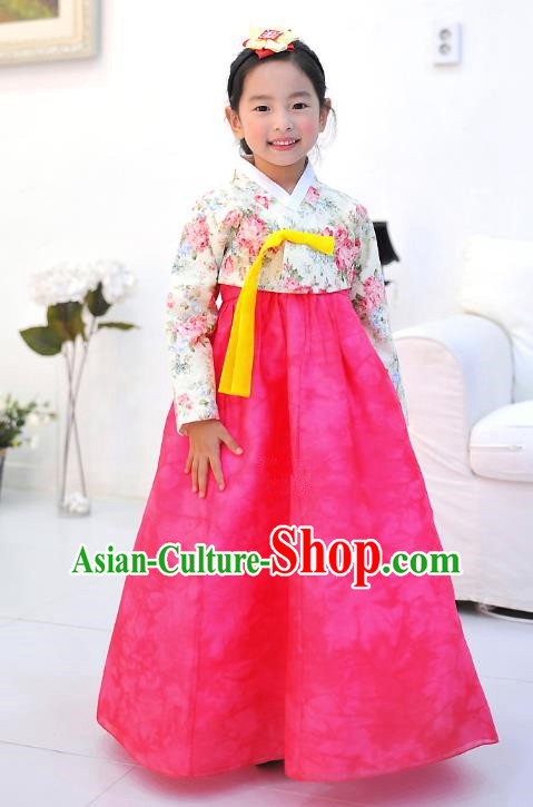 Asian Korean National Handmade Formal Occasions Wedding Embroidered Printing Blouse and Pink Dress Traditional Palace Hanbok Costume for Kids