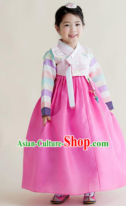 Asian Korean National Handmade Formal Occasions Wedding Girls Clothing Embroidered Pink Blouse and Dress Palace Hanbok Costume for Kids