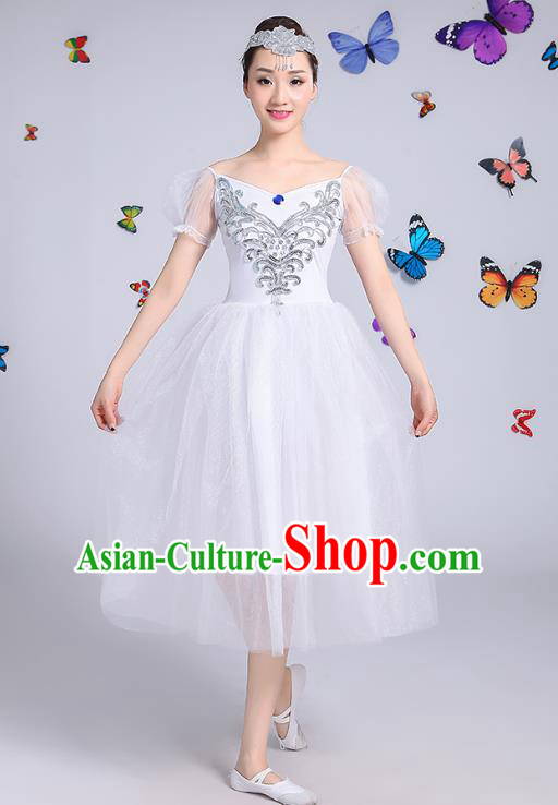 Traditional Chinese Modern Dance Opening Dance Clothing Chorus White Veil Dress Costume for Women