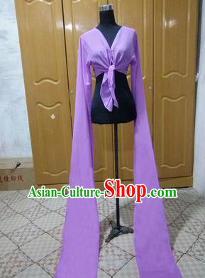Traditional Chinese Long Sleeve Water Sleeve Dance Suit China Folk Dance Chiffon Long Purple Ribbon for Women