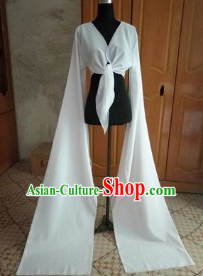 Traditional Chinese Long Sleeve Wide Water Sleeve Dance Suit China Folk Dance Koshibo Long White Ribbon for Women