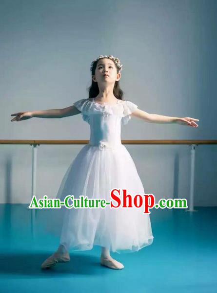 Traditional Modern Dancing Costume, Children Opening Classic Chorus Singing Group Dance Bubble Dress, Modern Dance Classic Ballet Dance White Veil Dress for Kids