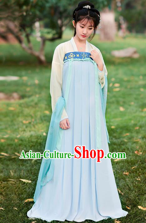 Traditional Ancient Chinese Costume Tang Dynasty Embroidery Blouse and Slip Dress, Elegant Hanfu Clothing Chinese Young Lady Princess Costume for Women