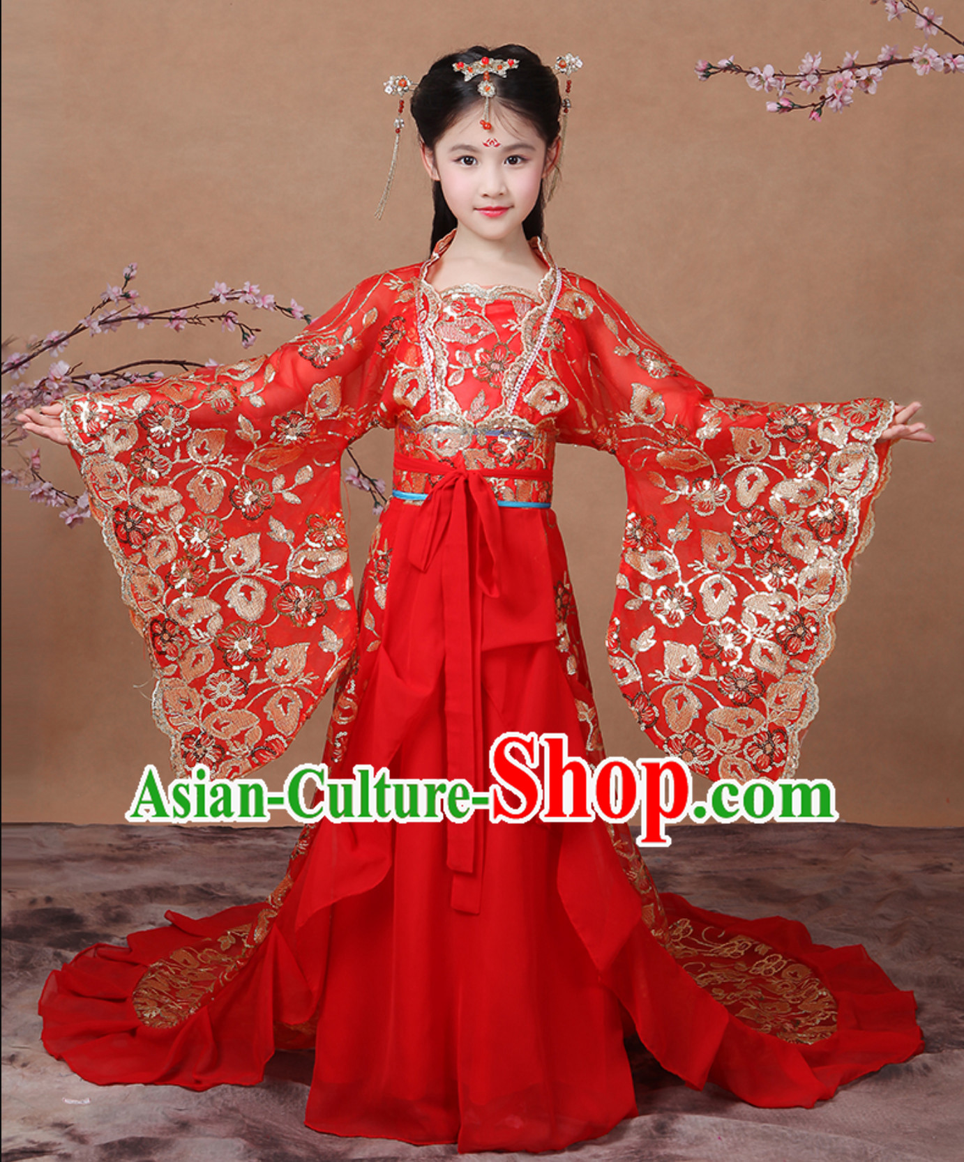 Ancient Chinese Palace Royal Princess Costume Empress Costumes and Hair Accessories Complete Set for Girls