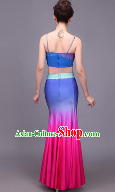Traditional Chinese Fan Dance Folk Dance Costume Classical Yangko Dance Classical Dance Dress