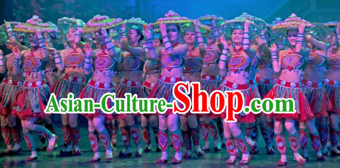 Traditional Chinese Fan Dance Folk Dance Costume Classical Yangko Dance Classical Dance Dress