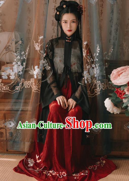 Chinese Ancient Young Lady Embroidered Costumes Ming Dynasty Hanfu Dress for Women