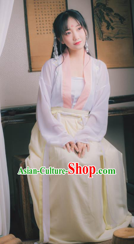 Chinese Ancient Peri Hanfu Dress Tang Dynasty Nobility Lady Costumes for Women