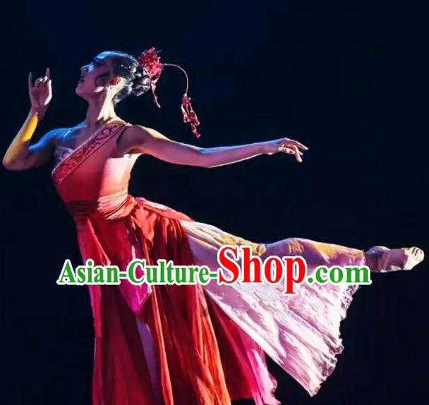 Traditional Chinese Fan Dance Folk Dance Costume Classical Yangko Dance Classical Dance Dress