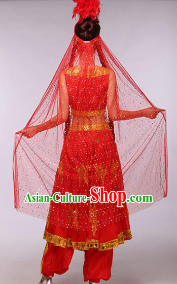 Traditional Chinese Fan Dance Folk Dance Costume Classical Yangko Dance Classical Dance Dress
