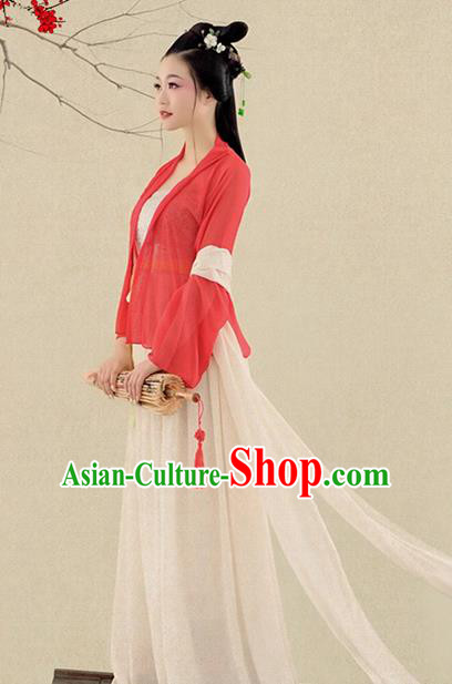 Chinese Traditional Song Dynasty Swordswoman Costumes Ancient Princess Clothing for Women