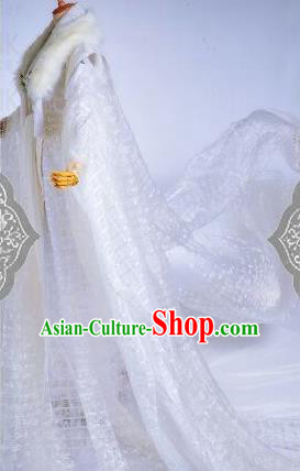 Ancient Chinese Cosplay Costume Chinese Shoes Traditional China Swordsman Clothing and Jewelry Accessories