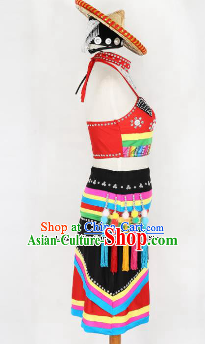Chinese Ethnic Minority Dress Traditional Dai Nationality Folk Dance Costume for Women
