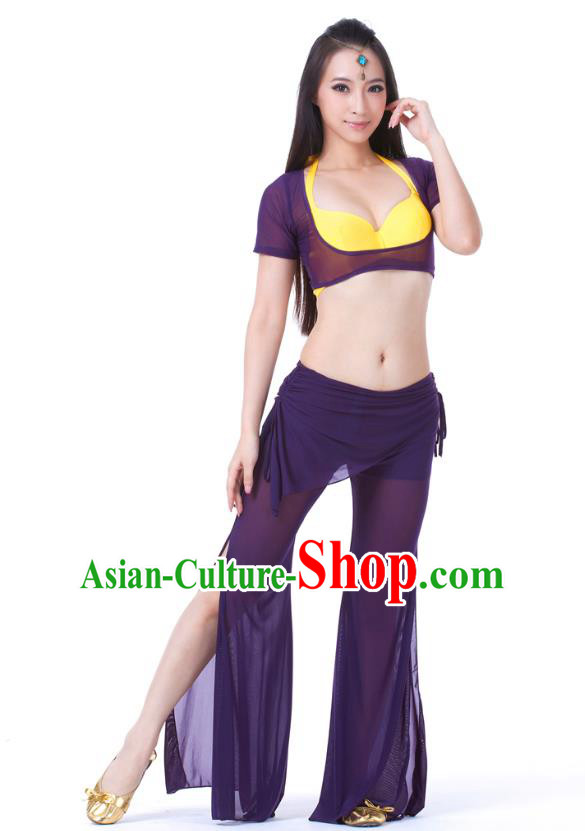 Asian Indian Belly Dance Deep Purple Uniform India Raks Sharki Dress Oriental Dance Clothing for Women